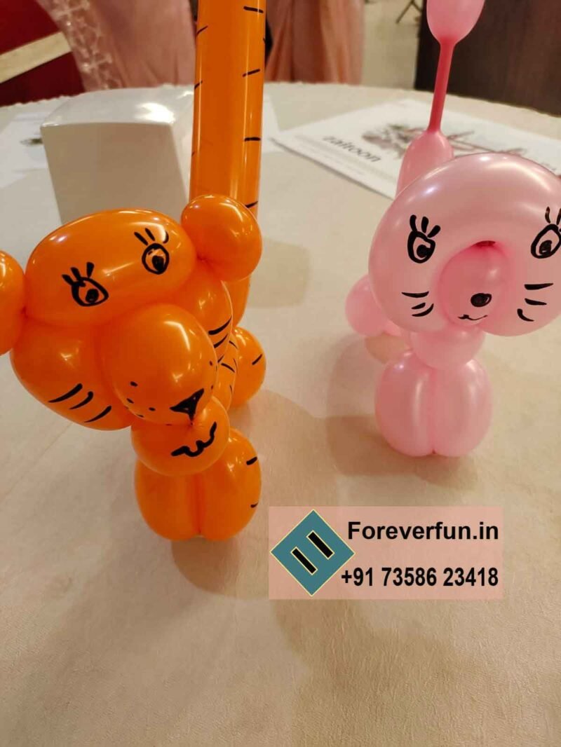 balloon modelling in chennai for party