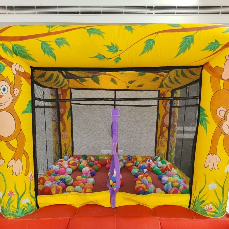 Inflatable ball pit for birthday party in chennai