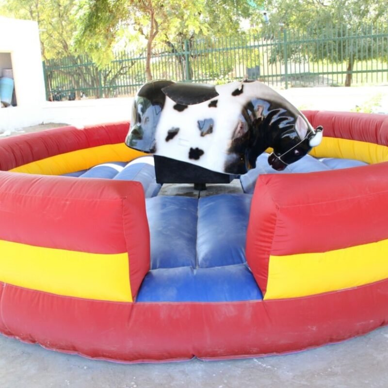 mechanical bull ride for rent in chennai